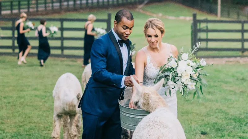 Shay & Company - planners
