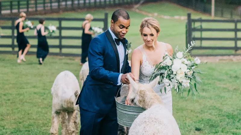 Shay & Company - planners